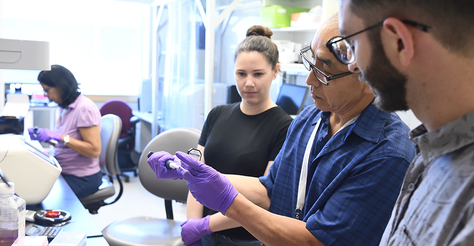 Graduate students work with faculty in the lab.