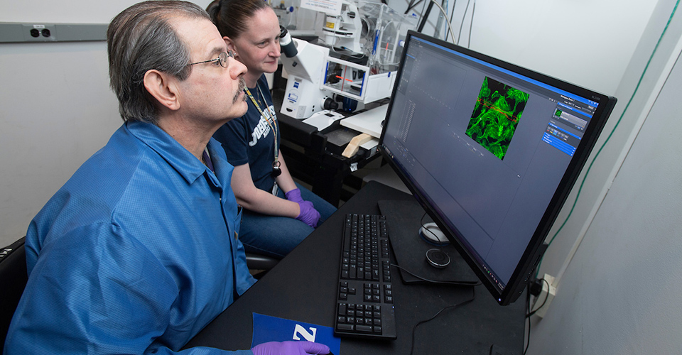 Faculty looking at data on a computer screen.