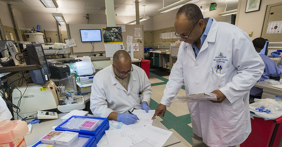 Faculty reviewing data in the lab.