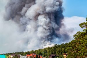 Large forest fire near the village