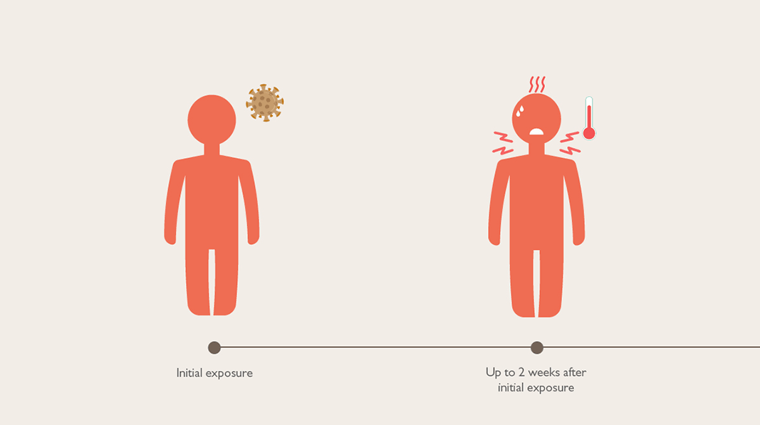 Timeline showing two weeks of symptom onset