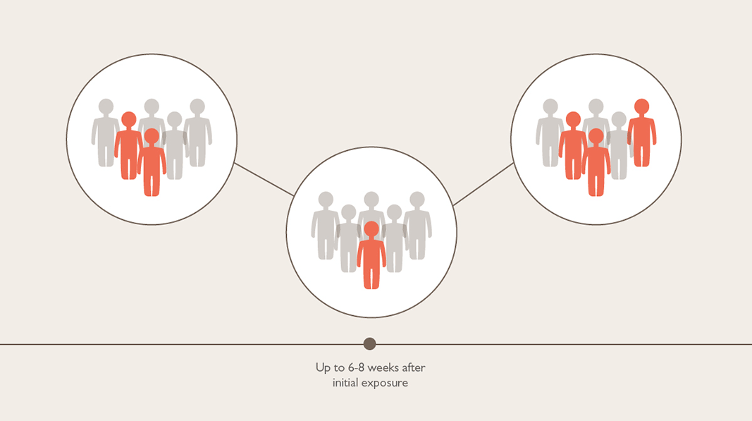 Three different social circles, showing subsequent groups infected from that first individual